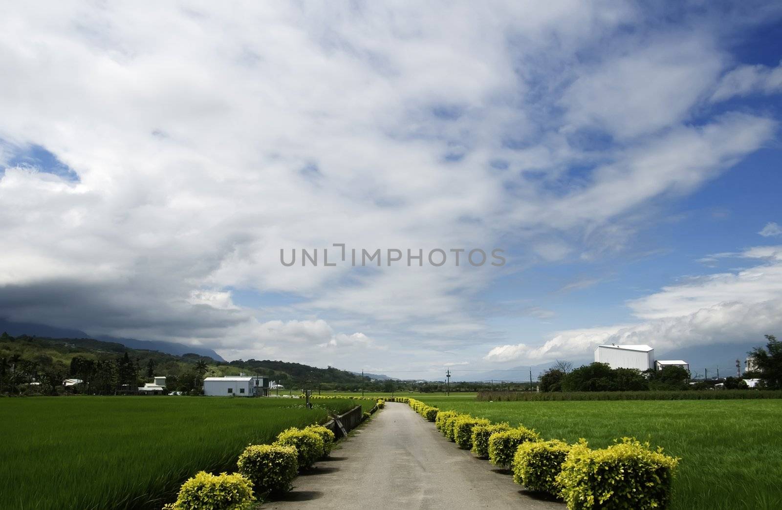 a road cross the farm by elwynn