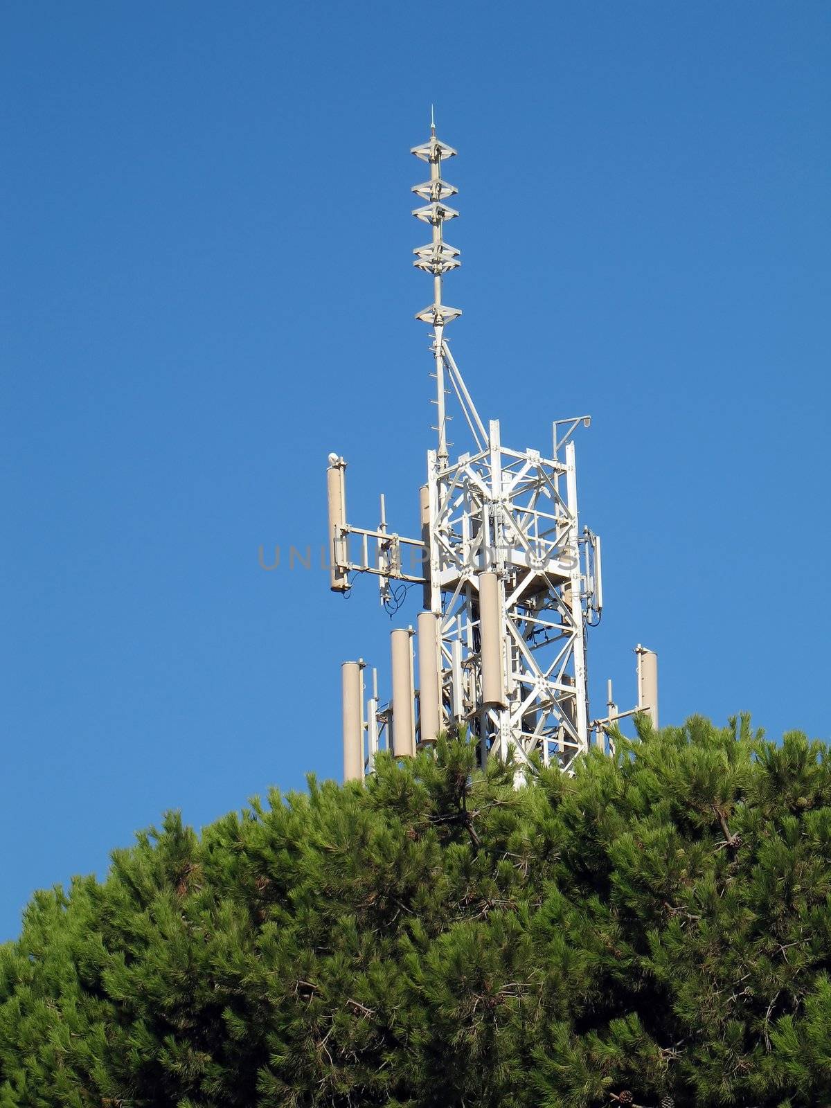 cellular phone antenna