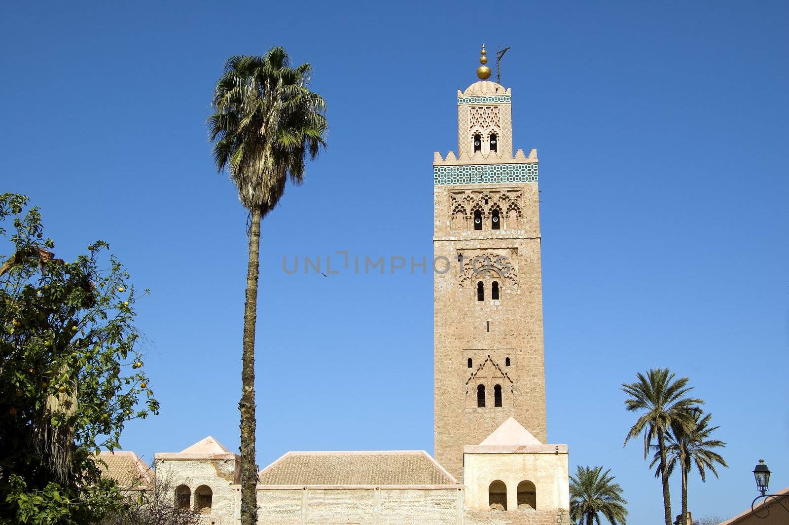 A view from the garden of the Koutoubia Minaret in Marrakesh