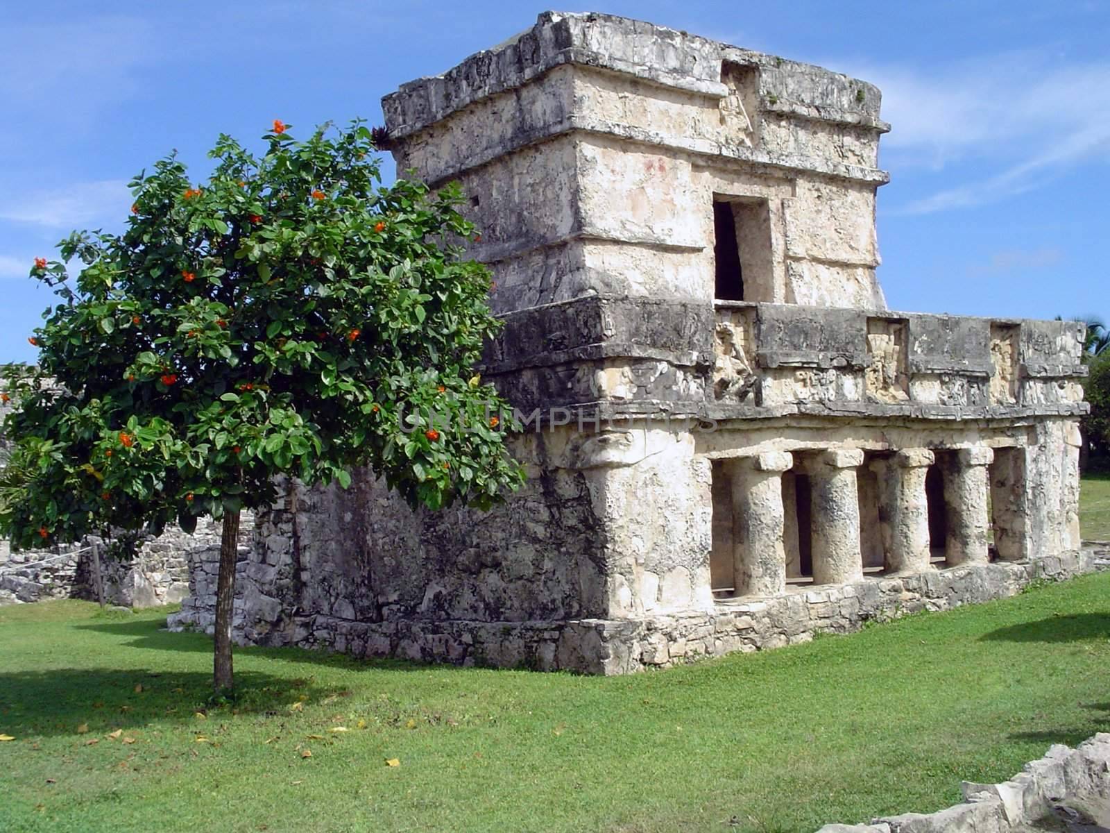 Tulum's mayan ruins, Yucatan, Mexico                           