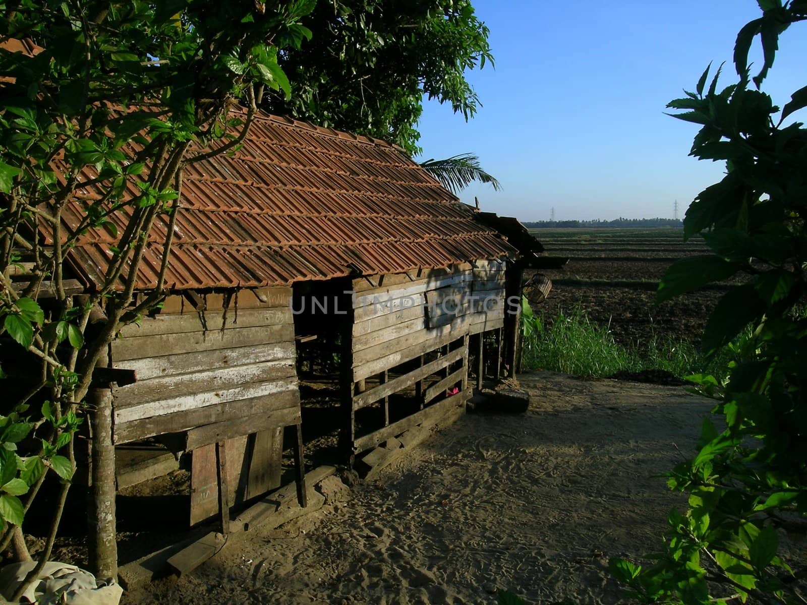 wooden hut with red tiles