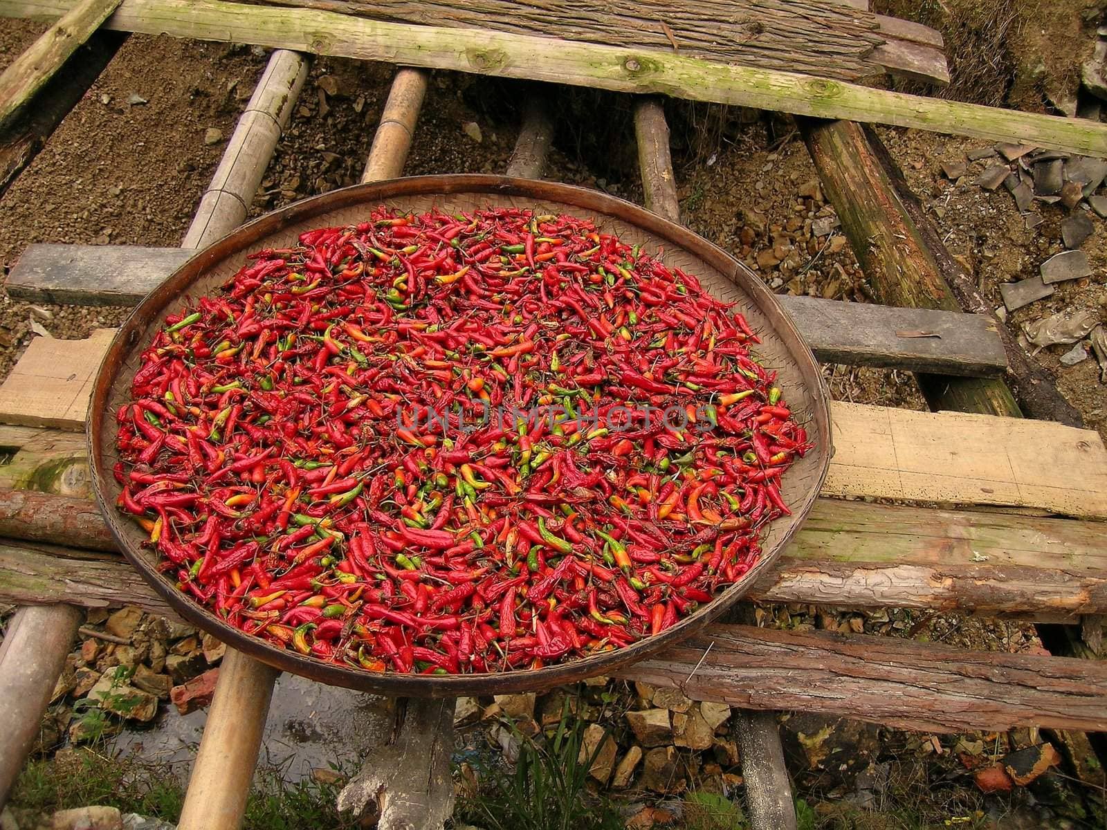 basket with red paprika