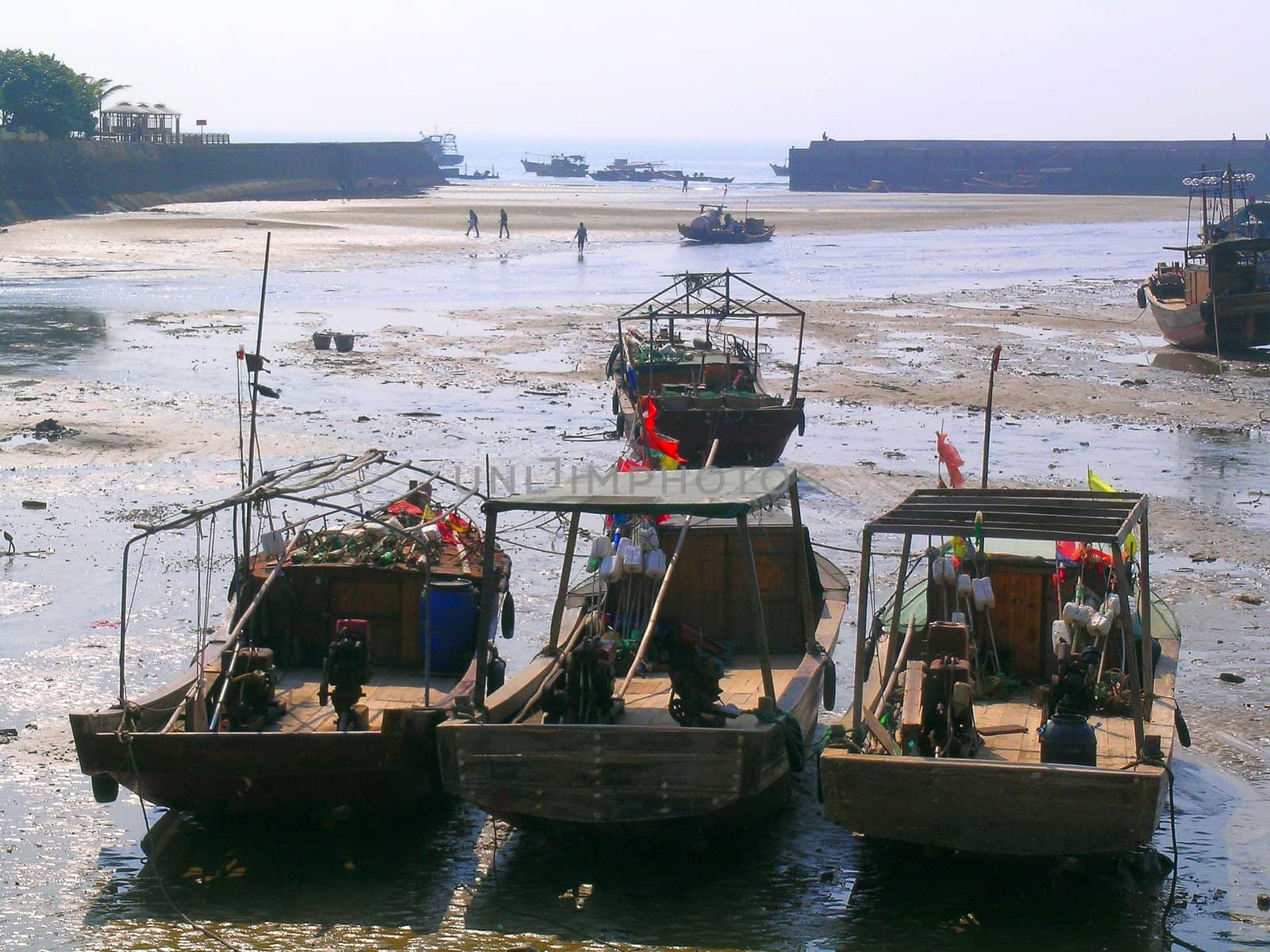 small harbor during low tide