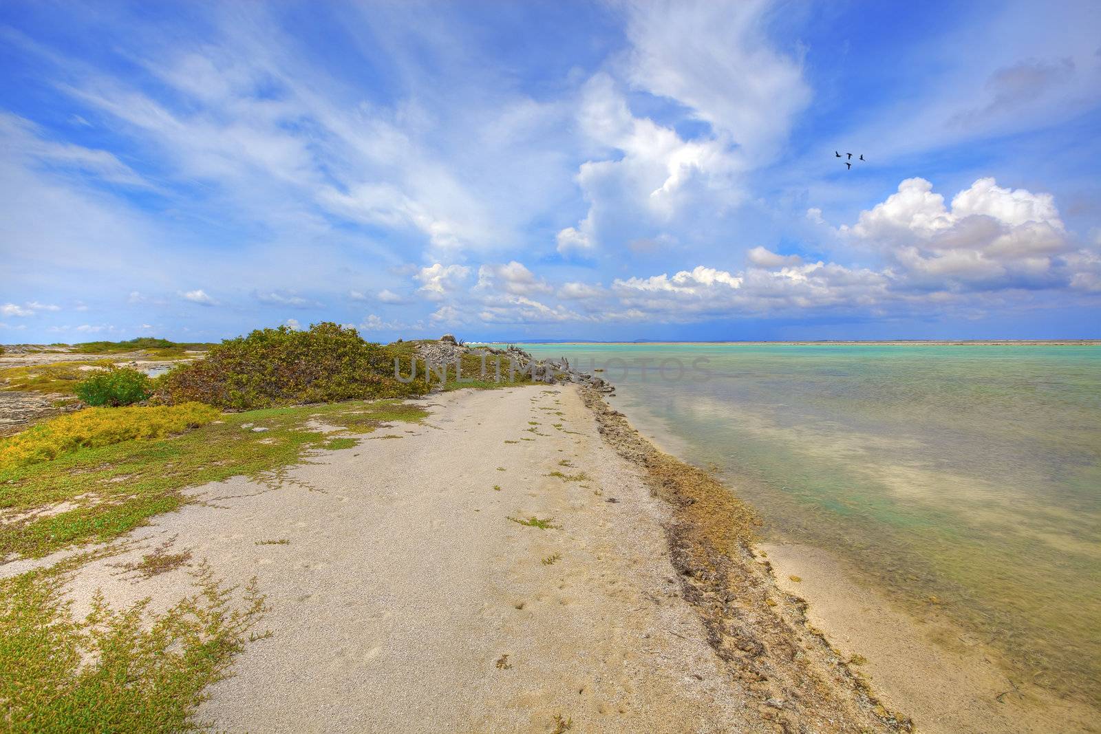 Saltlake on Bonaires south coast, Caribbean