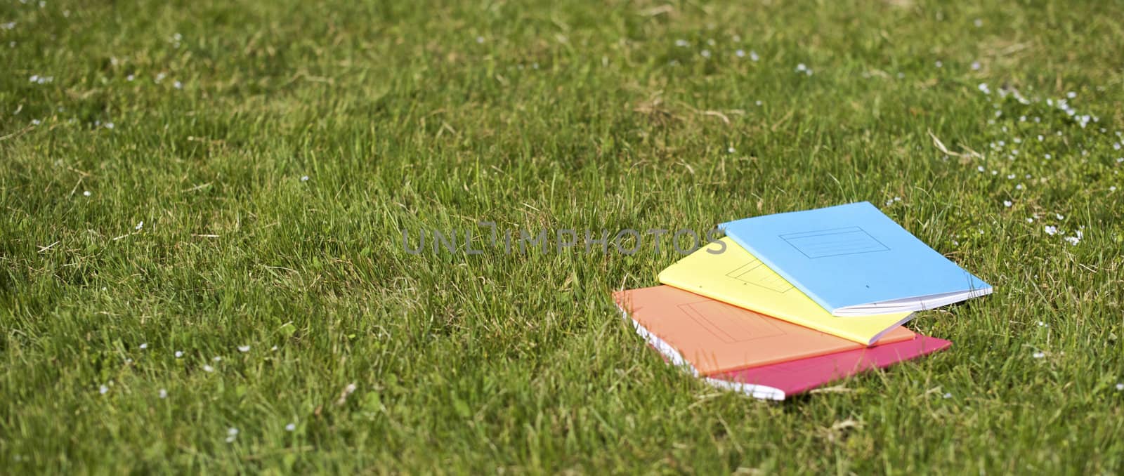Books on the grass for a summer studies