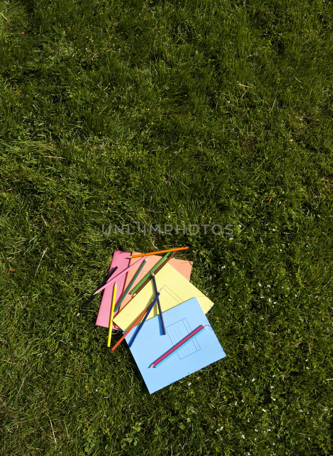 Books and pencils on the grass