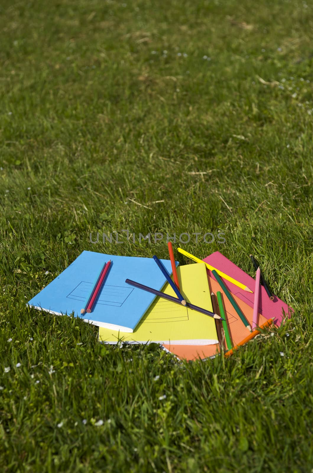 Books and pencils on the grass