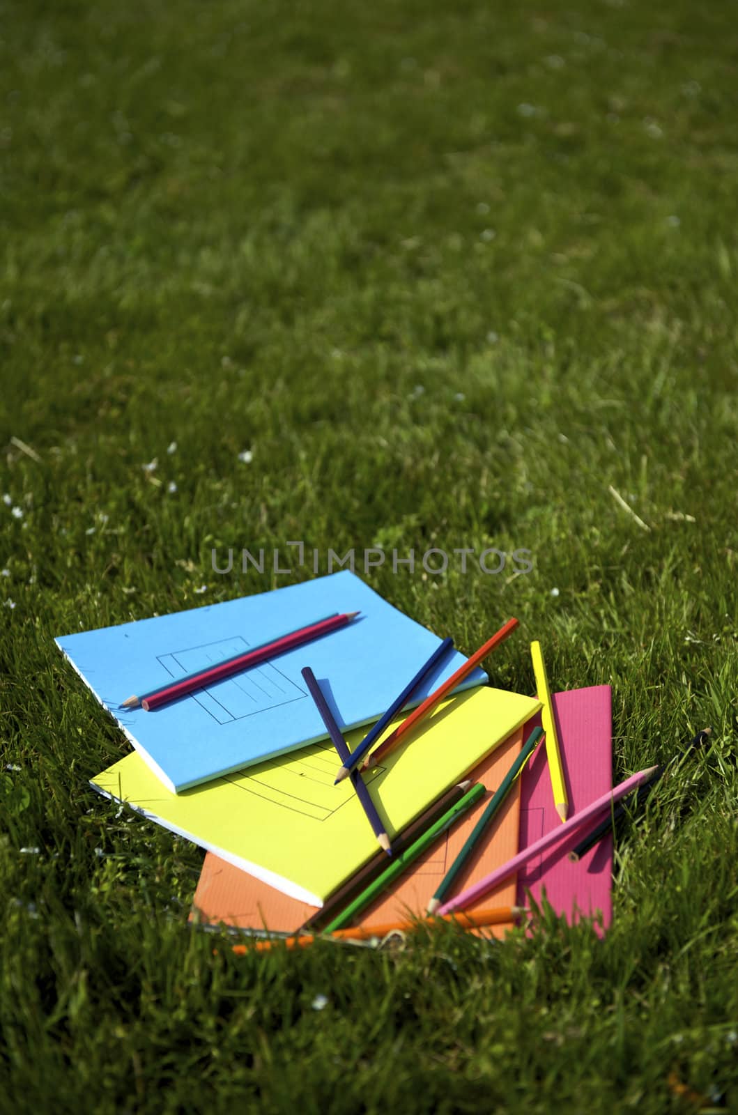 Books and pencils on the grass