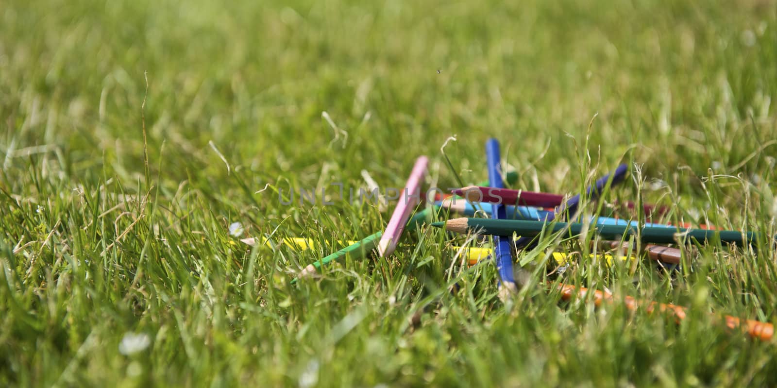 Colorful pencils on the grass 