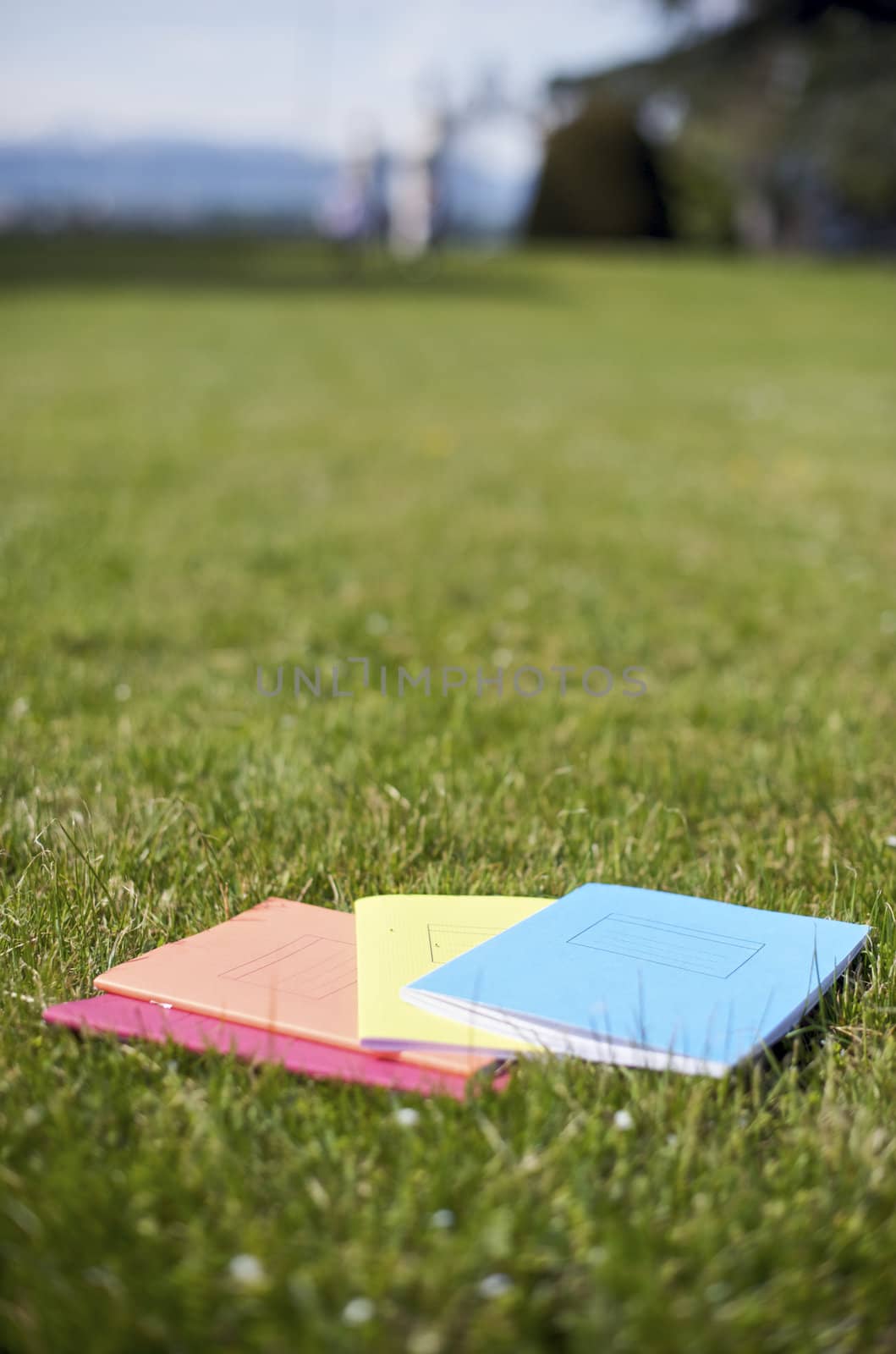 Books on the grass for a summer studies