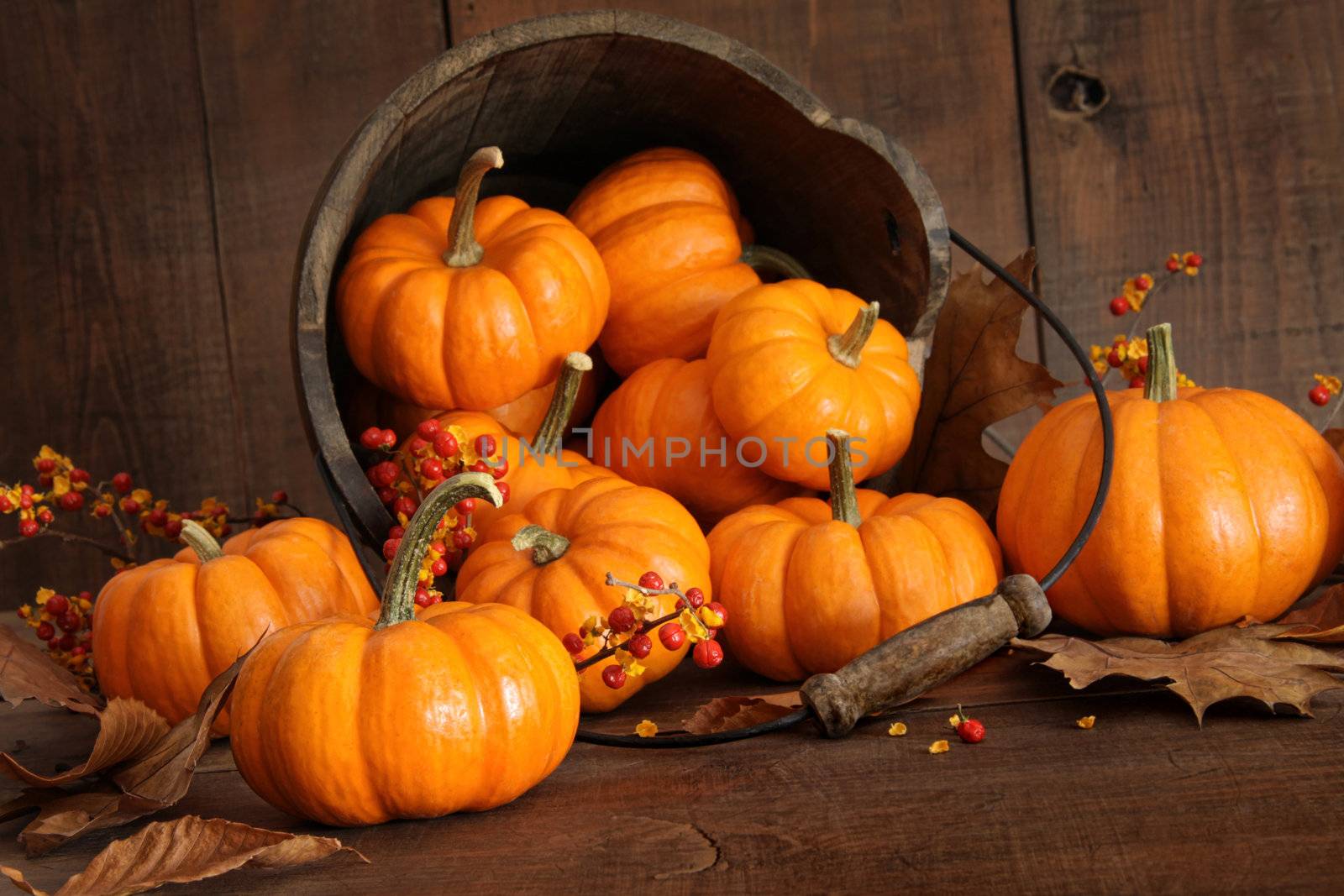 Wooden bucket filled with colorful tiny pumpkins