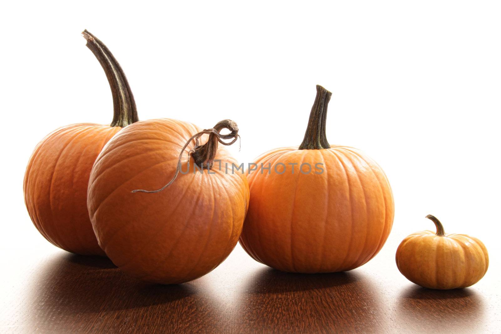 Colorful festive pumpkins  on wood table with white background 