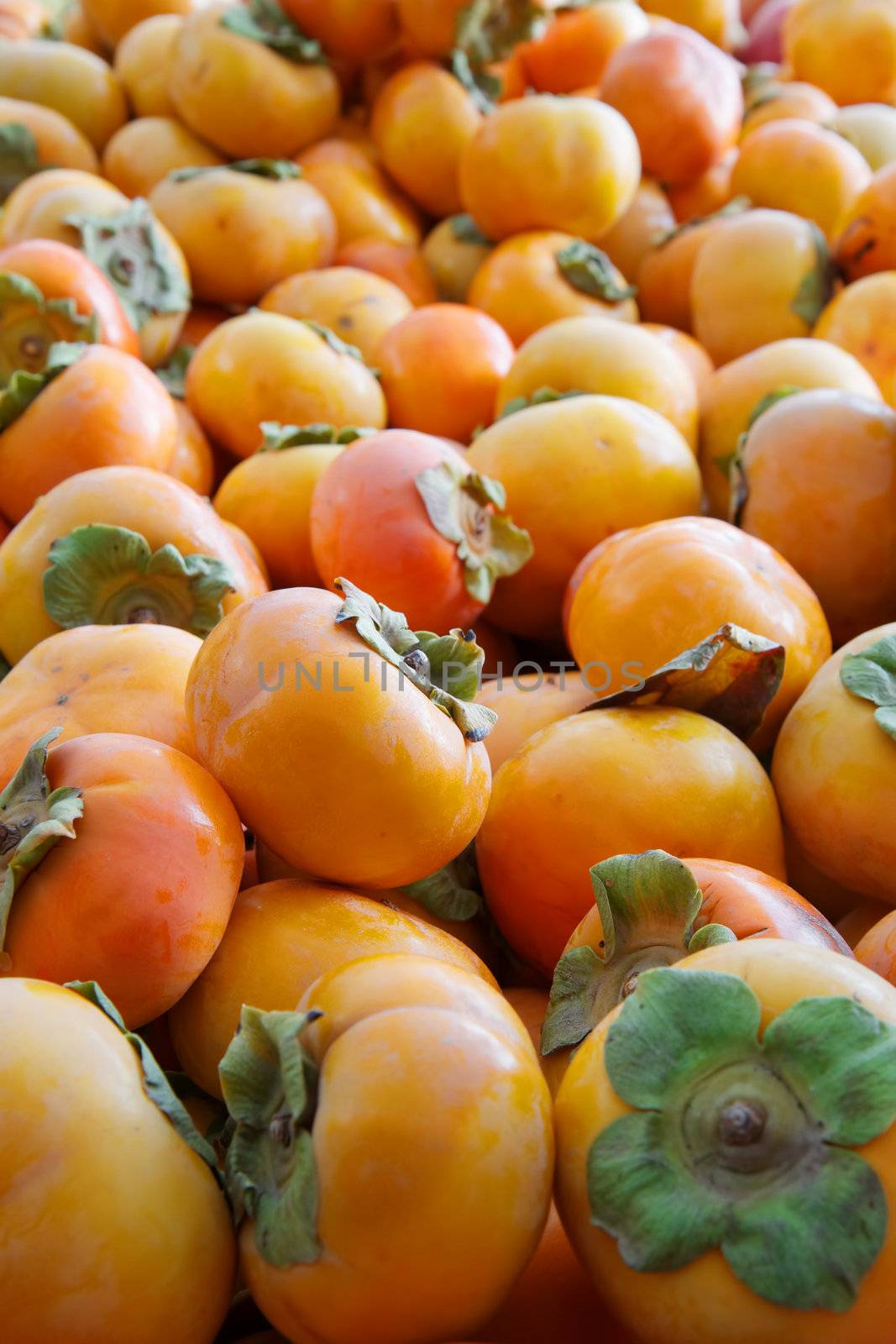 Pile of orange green topped persimmons at the farmers market