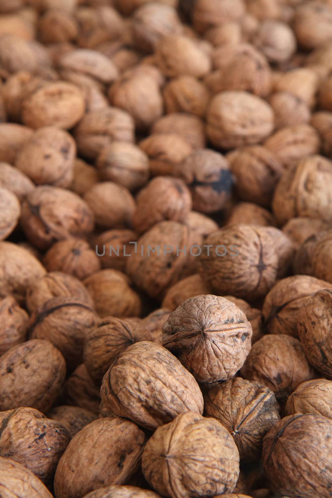 Pile of Walnuts by bobkeenan