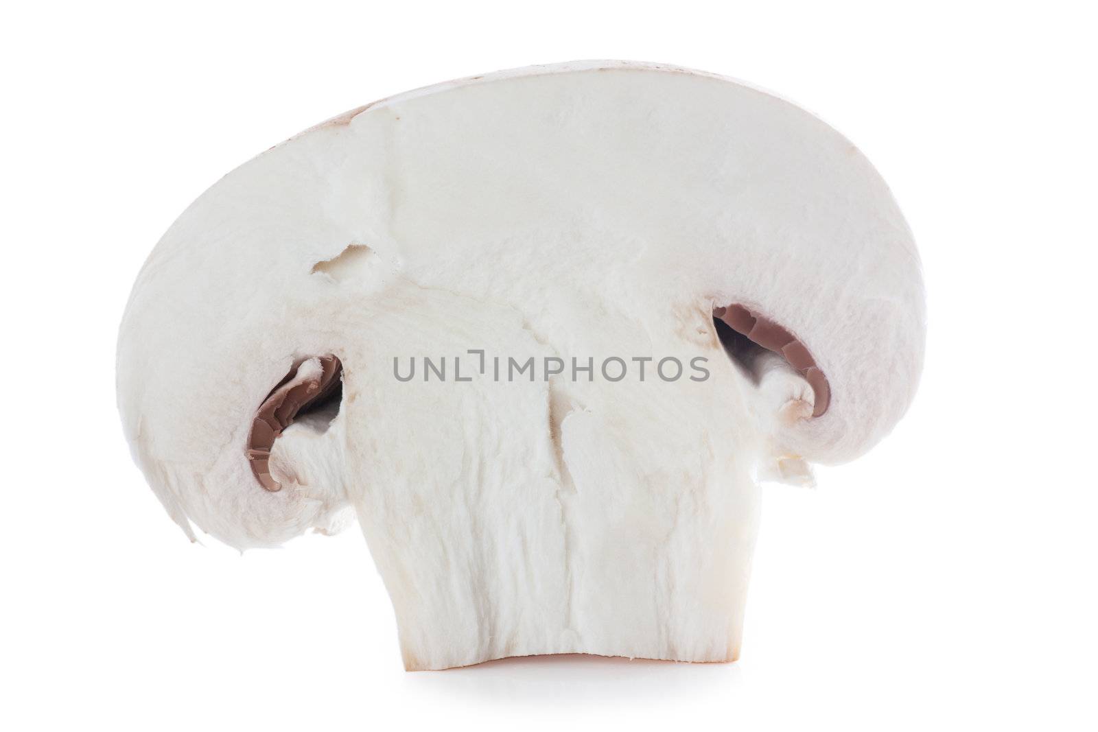 A section of mushroom isolated over white