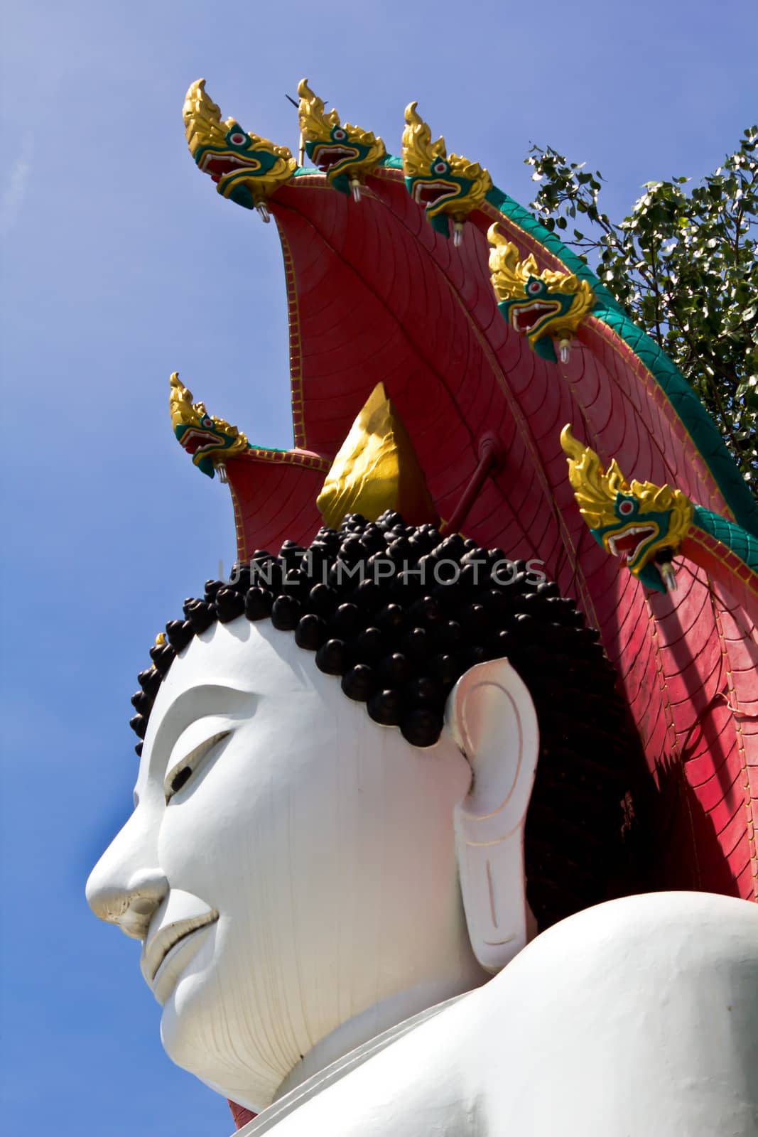 Closeup Buddha Image by lavoview