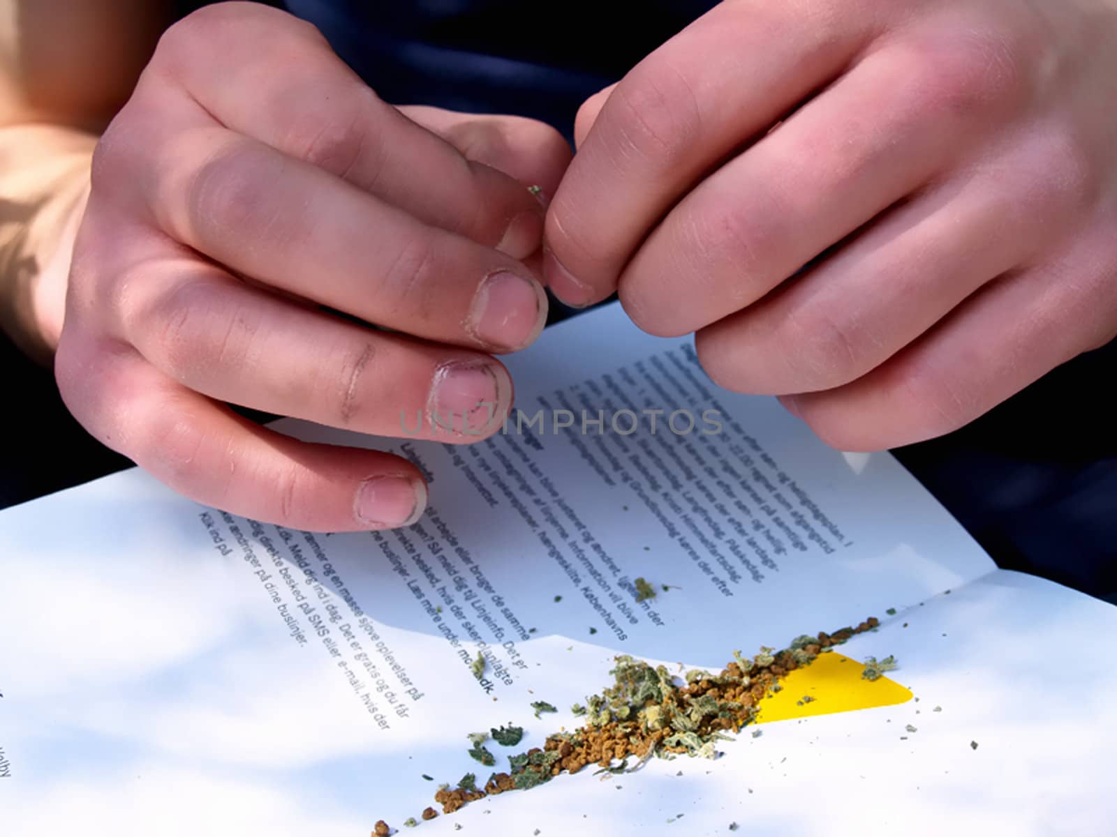 Innocent human mixing grass and tobacco to make a natural smoke.