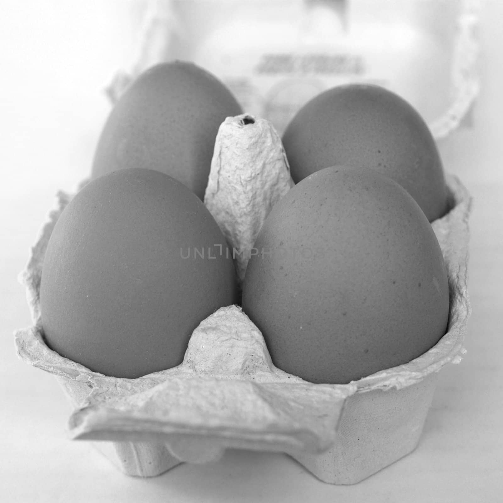 Four eggs in a cardboard wrap box