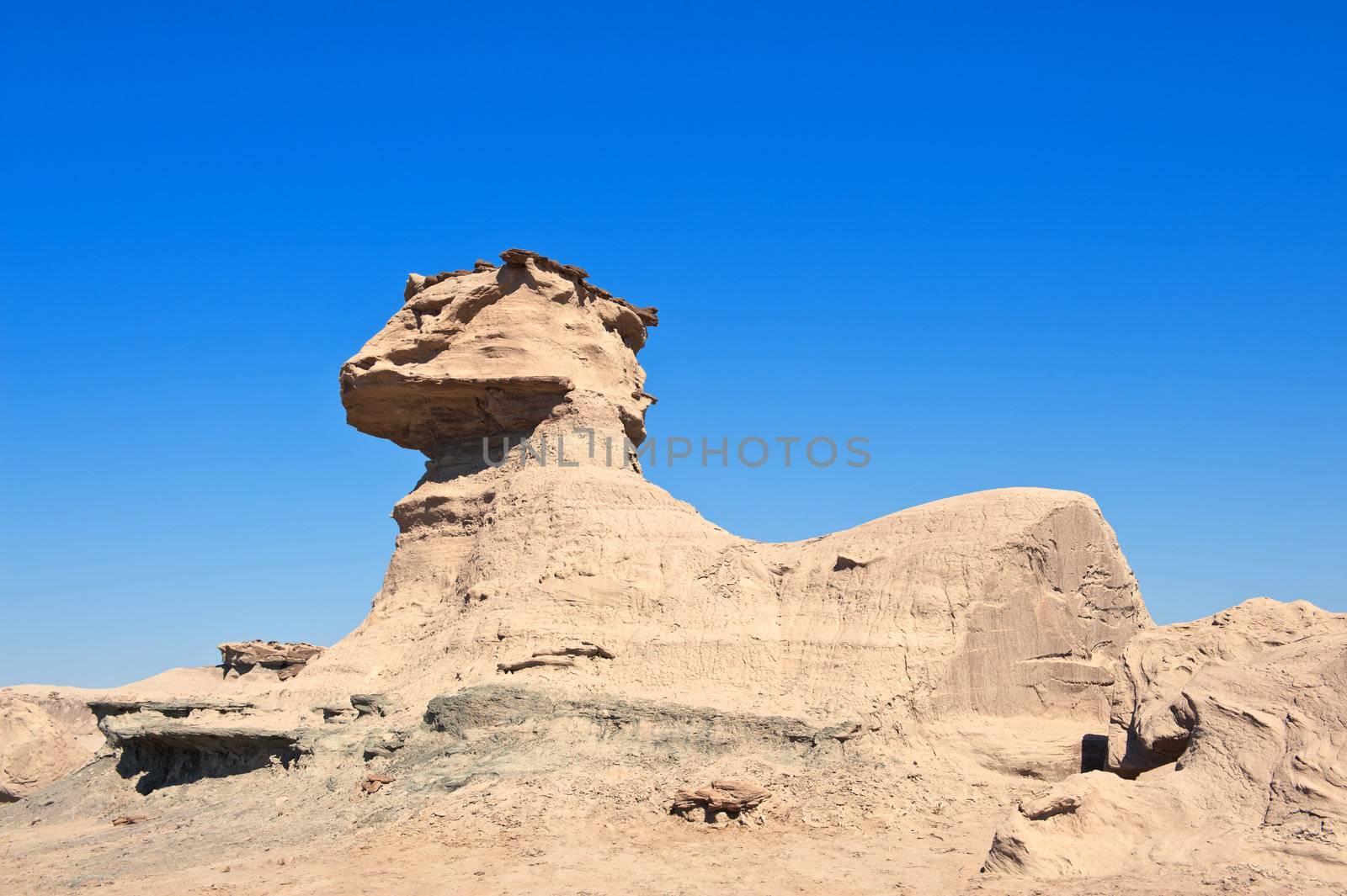 Rock fomation known as the Sphinx, Ischigualasto national park, Argentina.