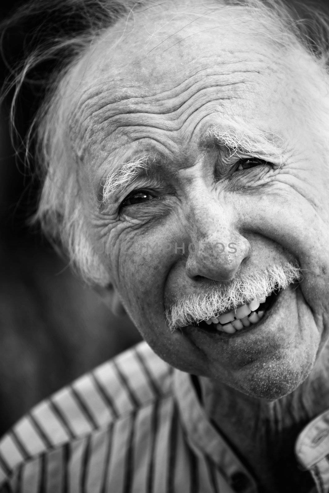 Portrait of a Handsome Senior Man Outdoors