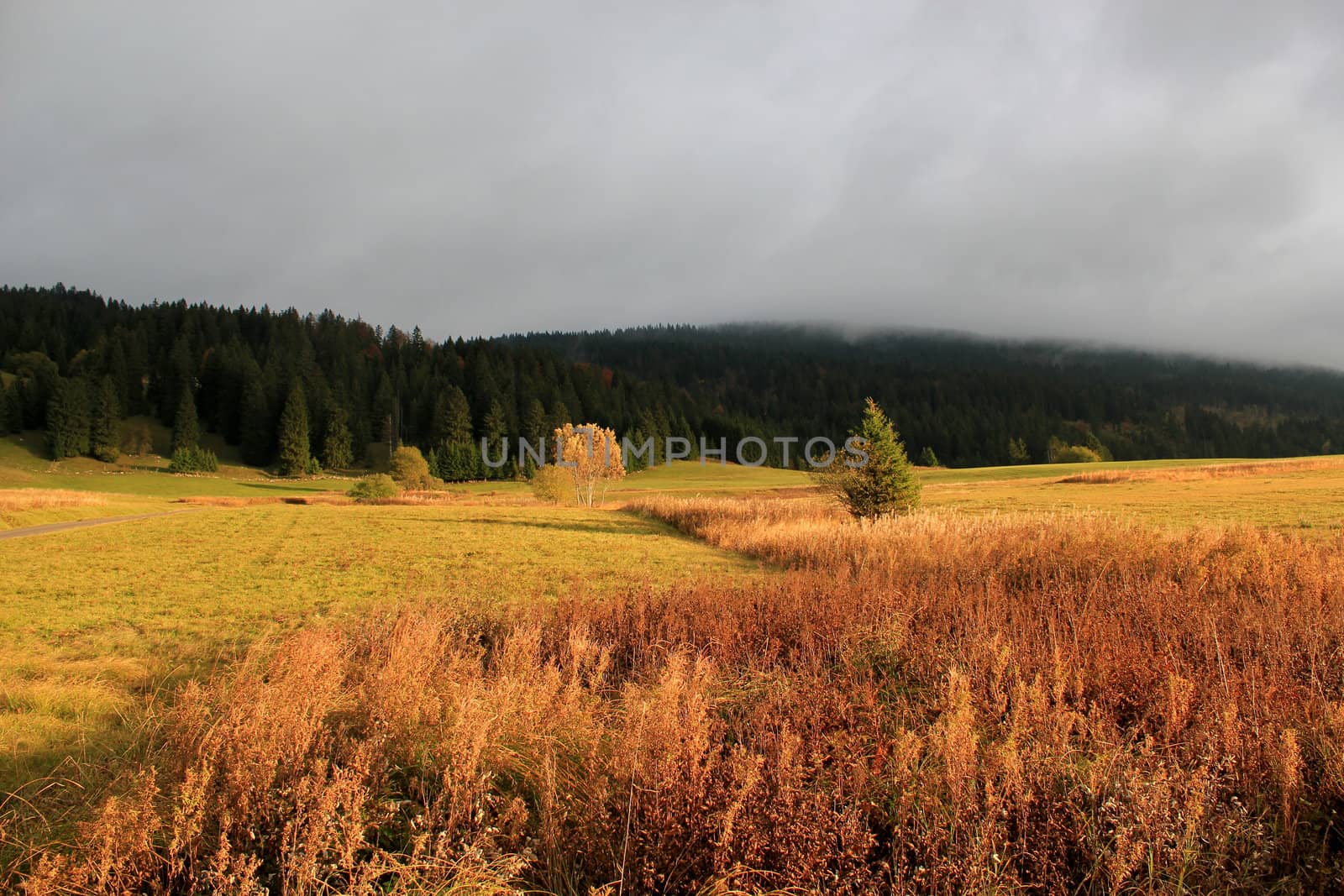 Beautiful landscape by autumnal sunset by Elenaphotos21