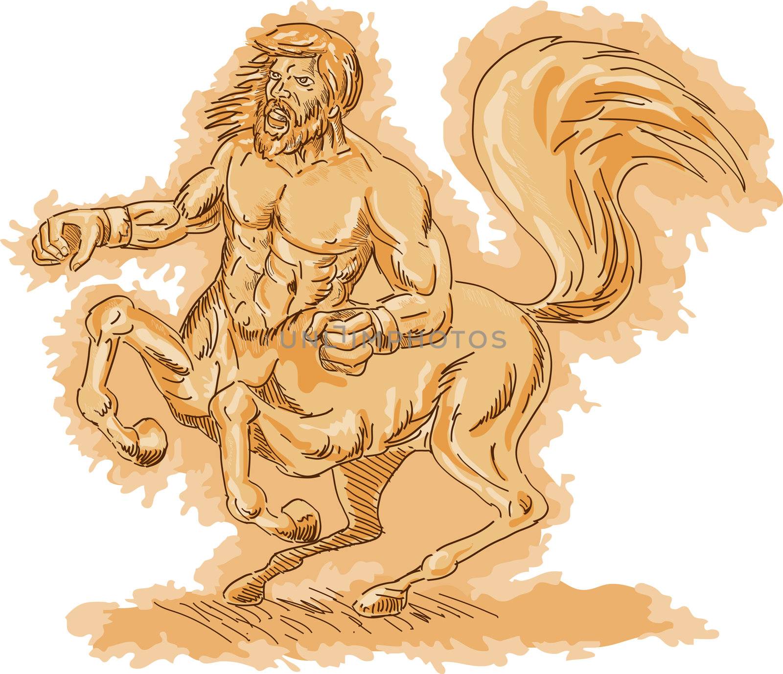 Illustration of a Centaur angry and rearing up