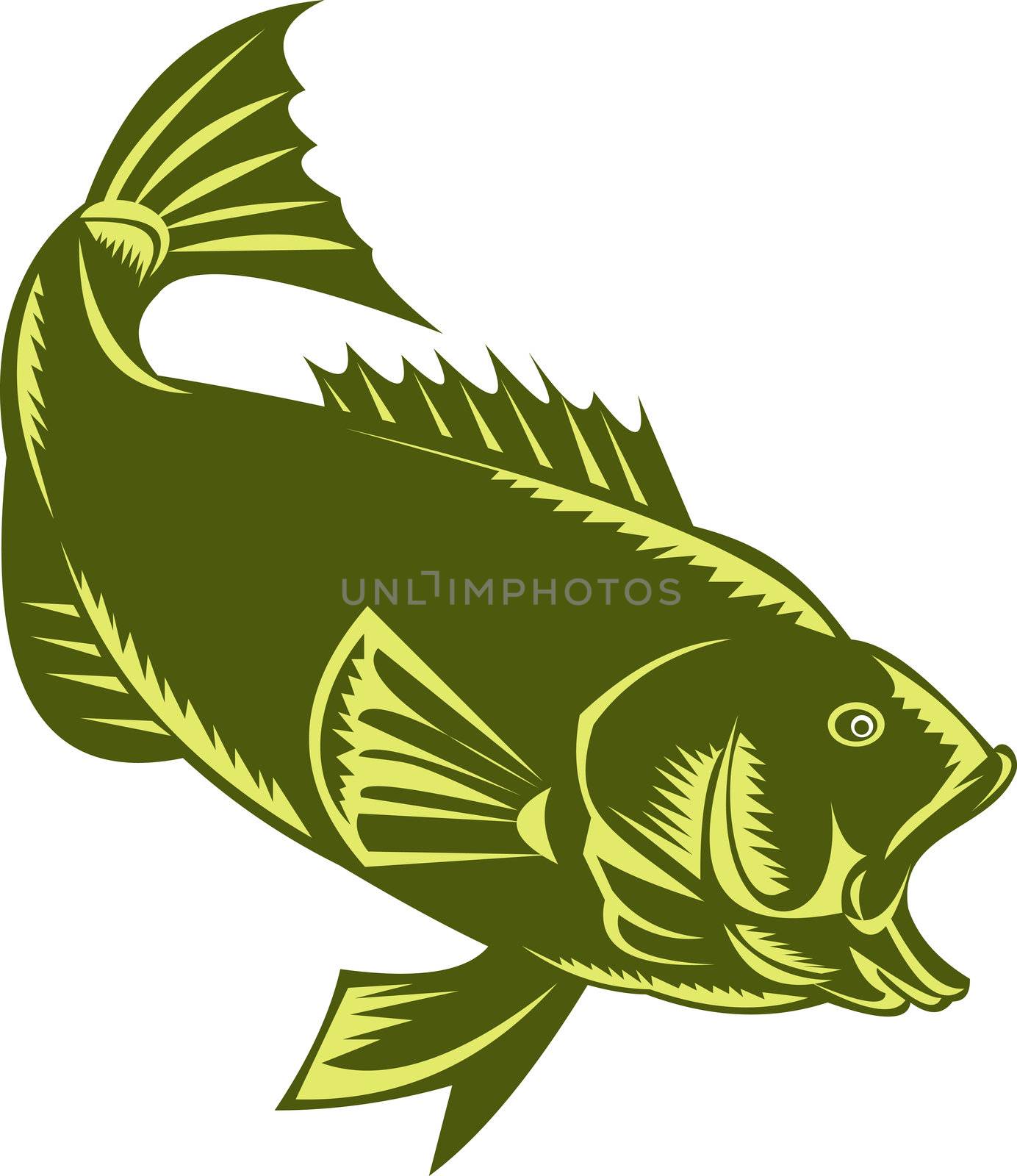 illustration of a Largemouth Bass  woodcut style