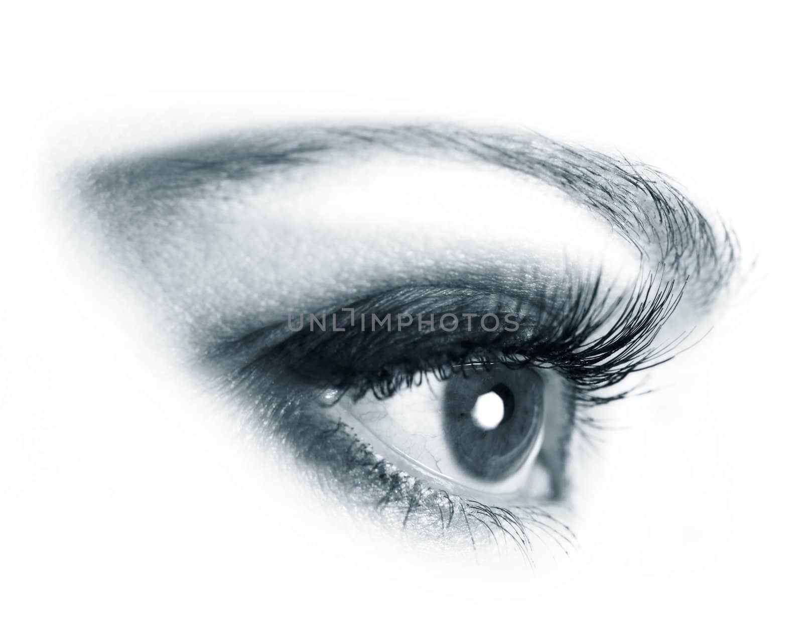 Close-up portrait of a beautiful female eye