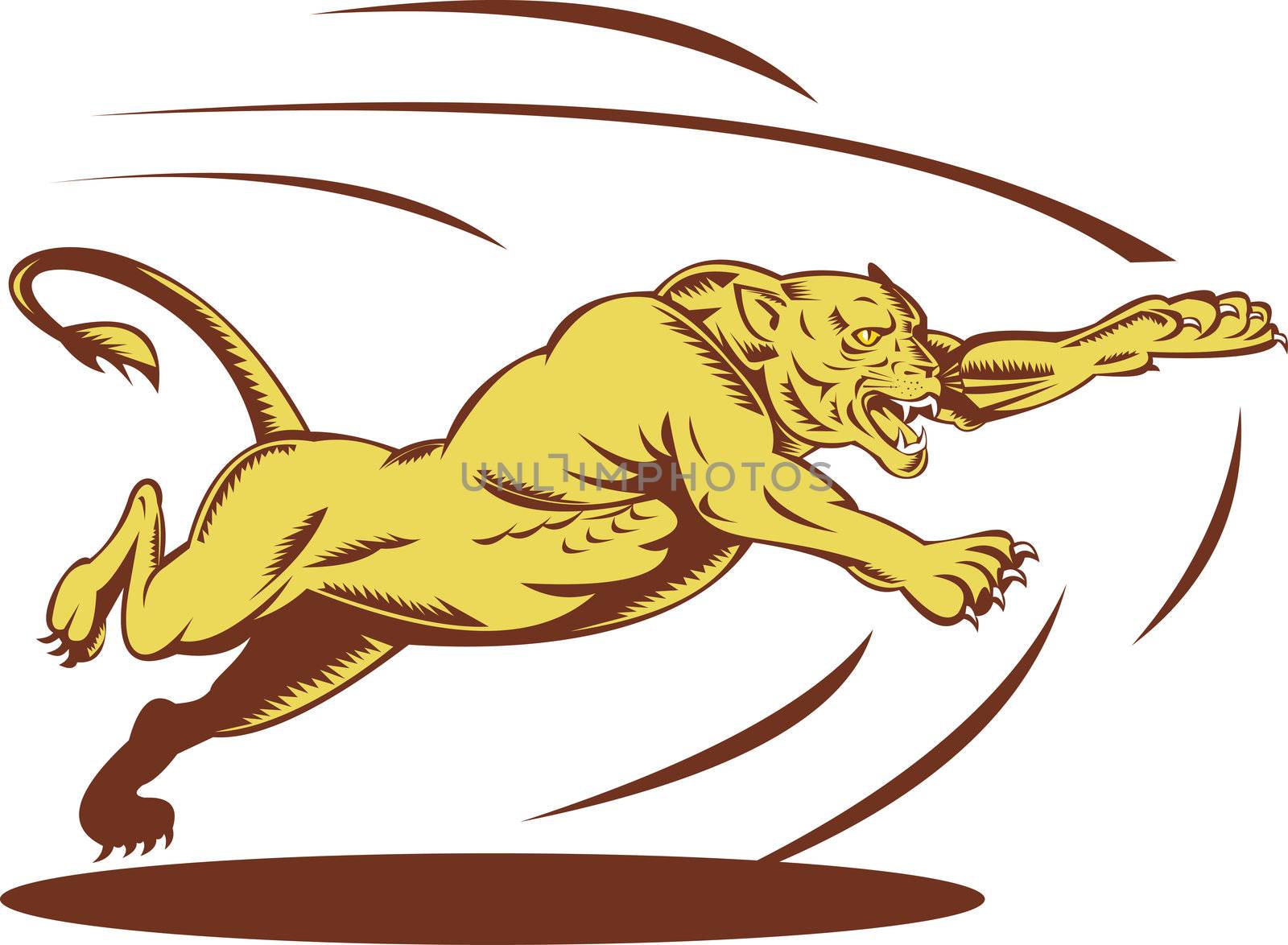 Lioness jumping and attacking by patrimonio