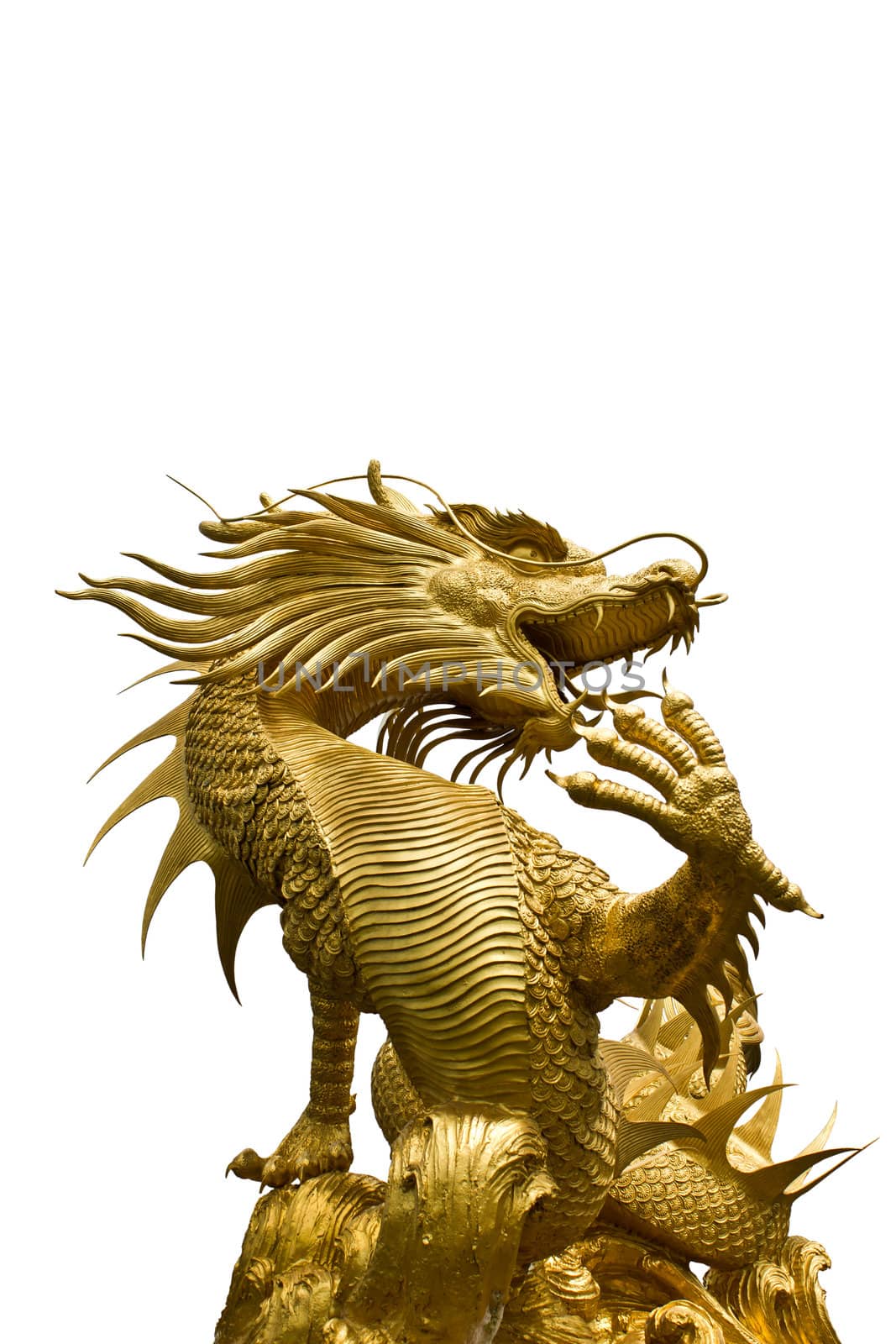 Golden dragon statue on white backgroud by lavoview