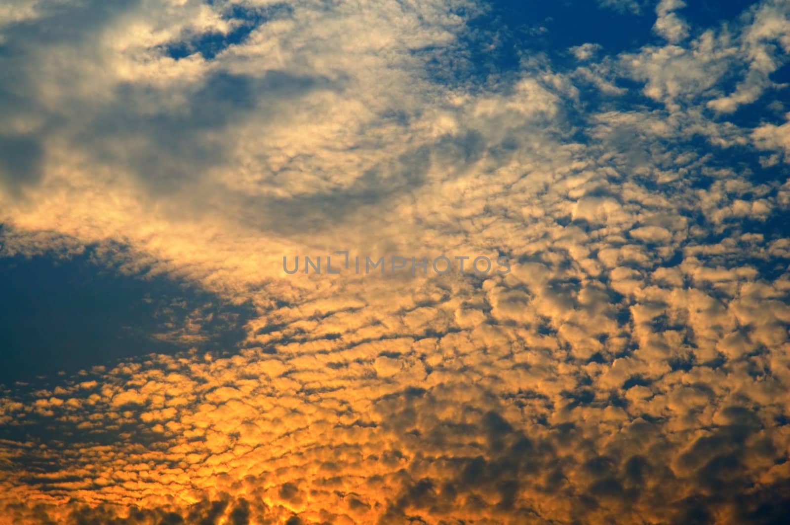 The skyscape of fluffy clouds while dawning