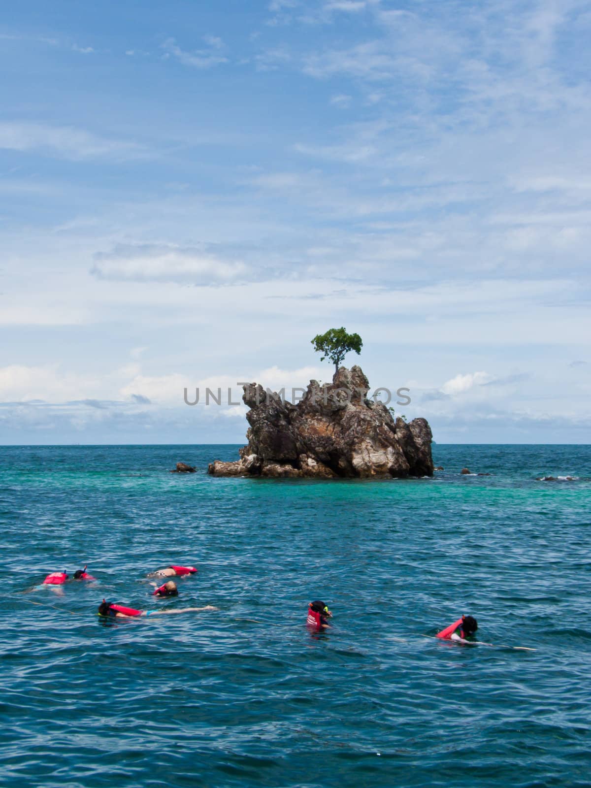 Snorkeling seen Coral and Fish in Phuket South of Thailand by lavoview