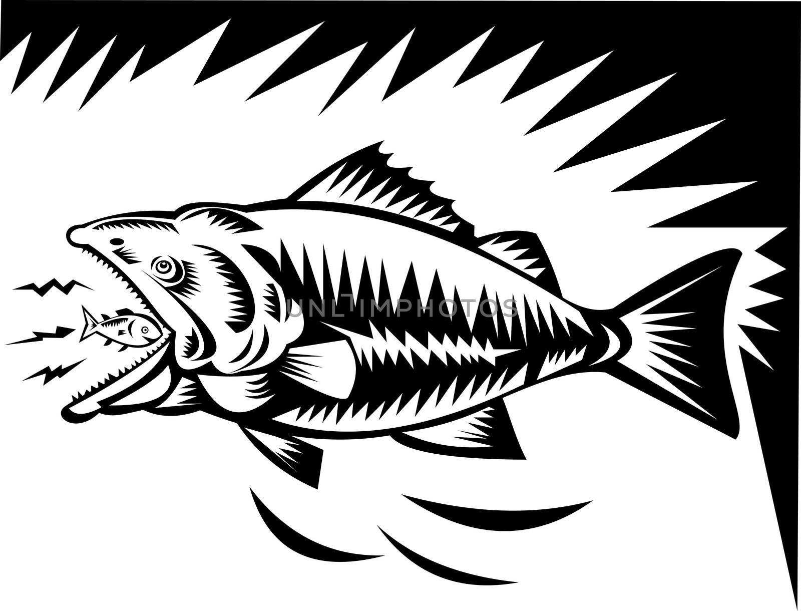 illustration of a big fish eating a small fish
