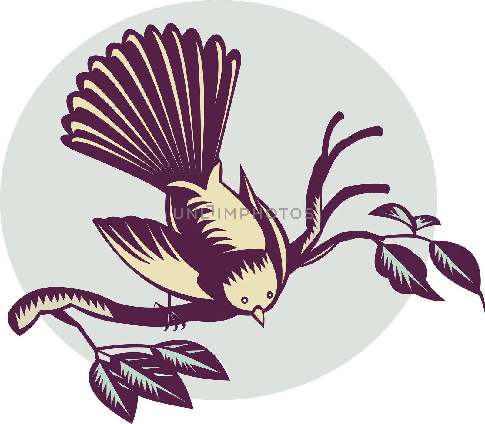 illustration of a New Zealand fantail bird on a branch done in retro woodcut style.