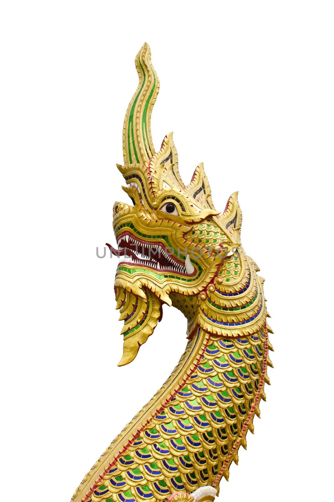 King of Naga on White Background by lavoview