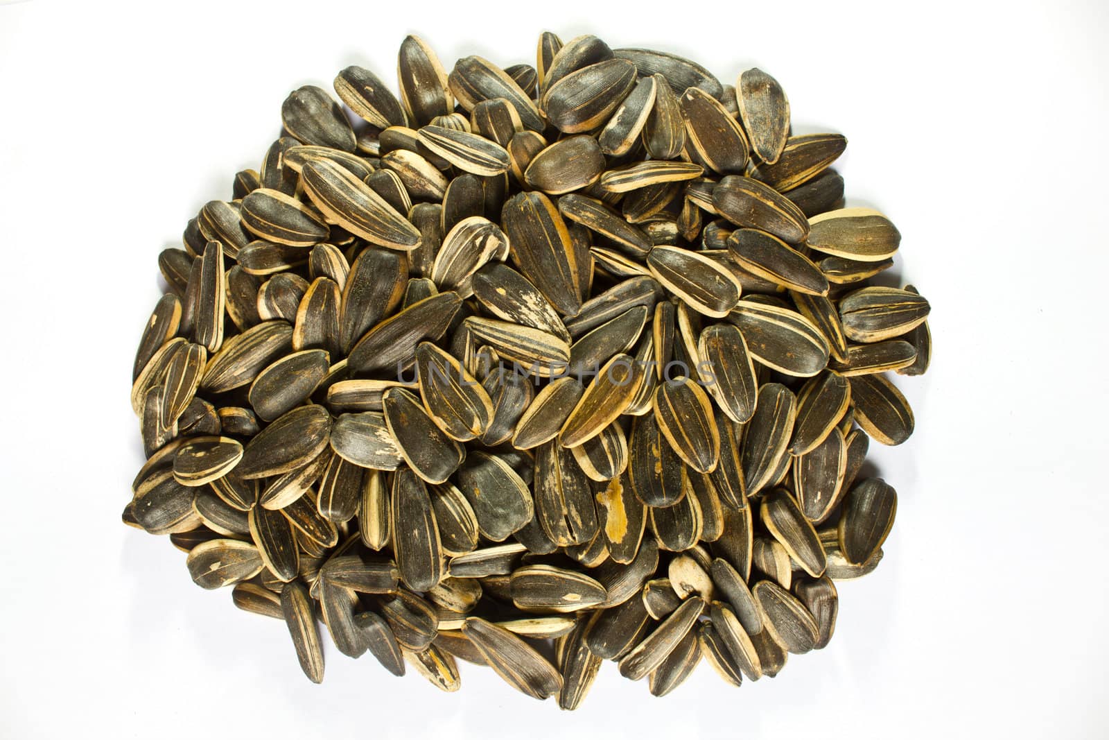 A pile of sunflower seeds isolated on white background