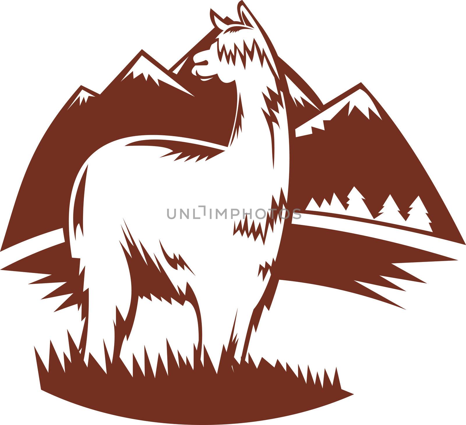 illustration of  a suri alpaca with mountains in the background