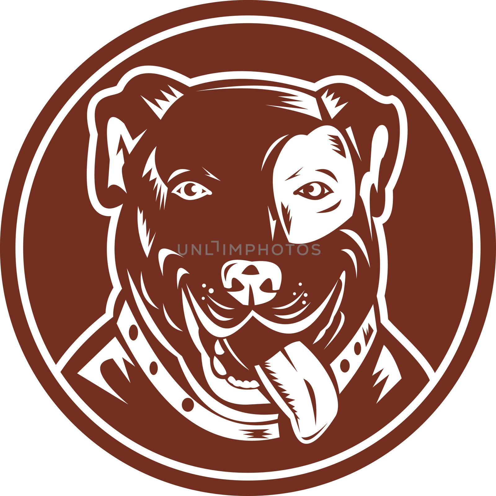 illustration of an American Pit bull Terrier set inside a circle