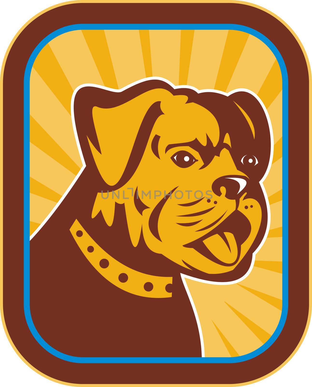 illustration of a Bulldog and Boston Terrier hybrid done in retro style.