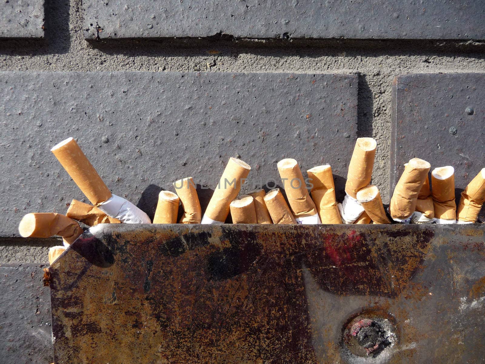 Close up of a collection of cigarettes.
