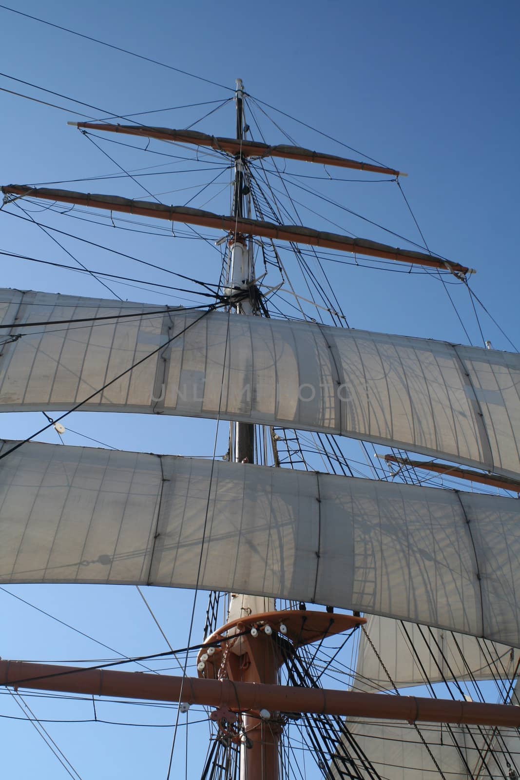 Look up at the canvas, mast, and rigging of a tall ship sails.