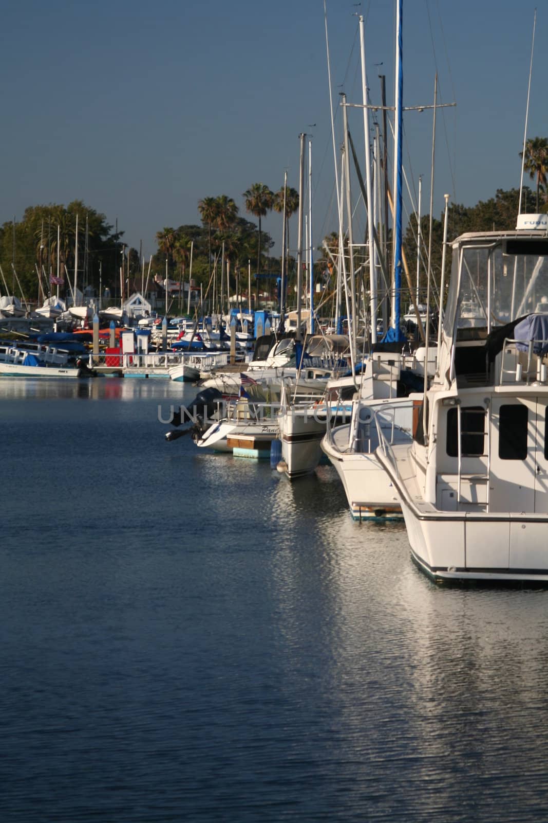 Yachts and fishing boats in a marina.