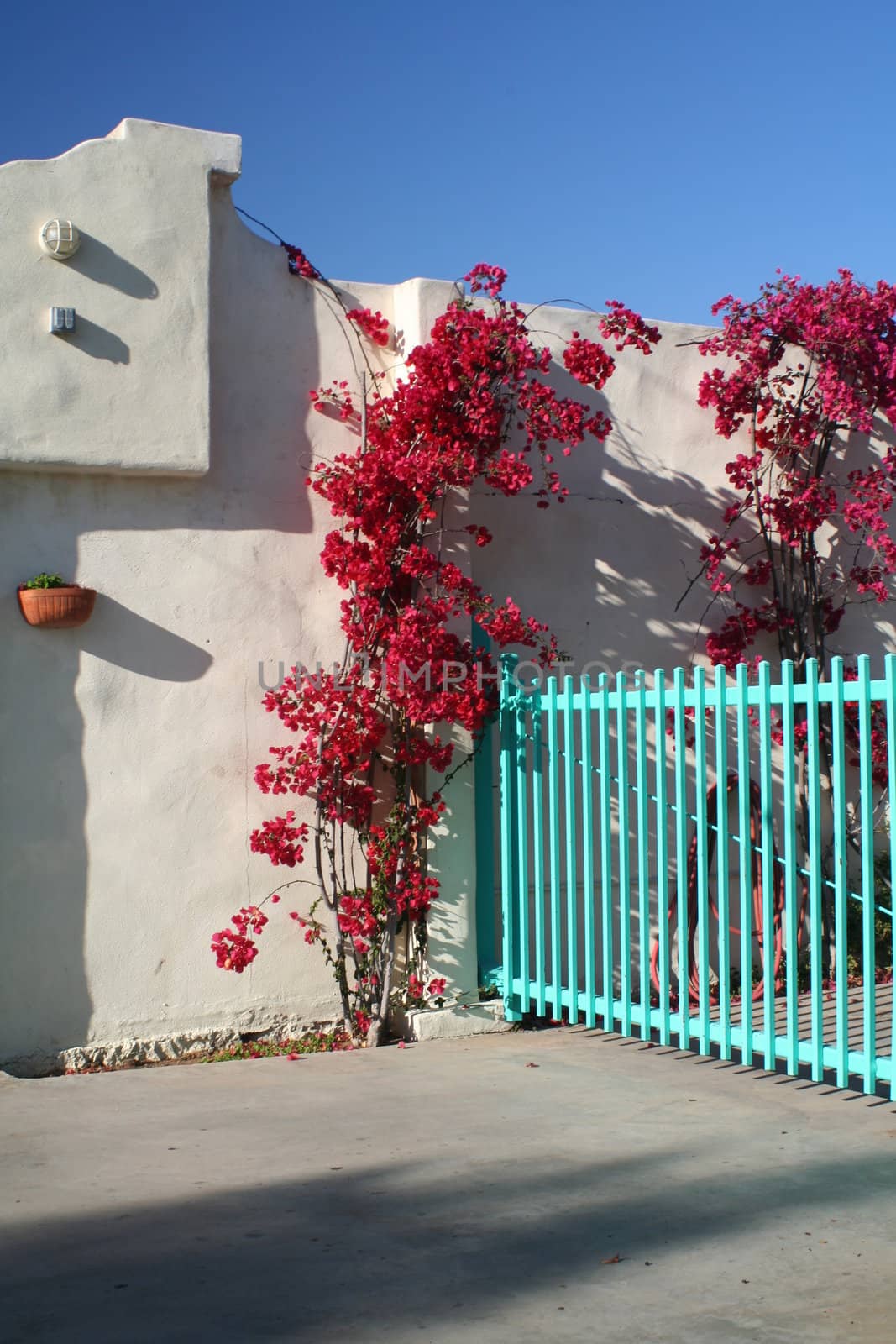 A turquoise fence with red flowers and a stucco building.