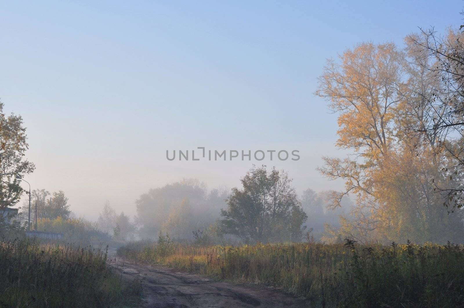 Autumn Siberian landscape, vicinities of a Moscow suburbs, Russia