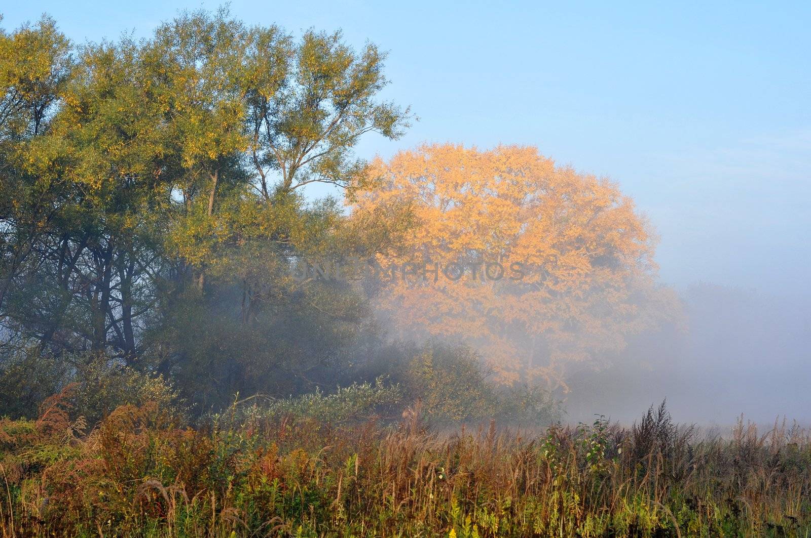 Autumn Siberian landscape, vicinities of a Moscow suburbs, Russia