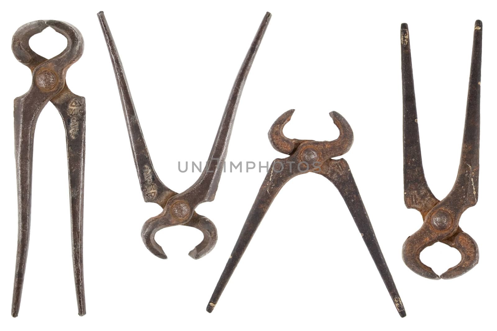 front view of different shape of old nippers
