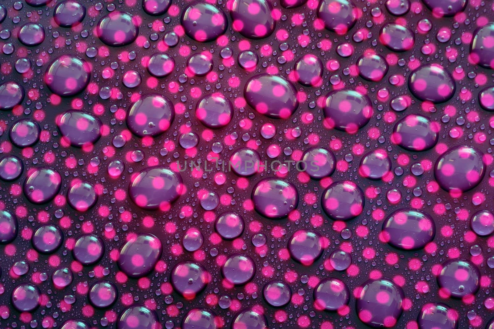 Close-up droplets of water on purple background