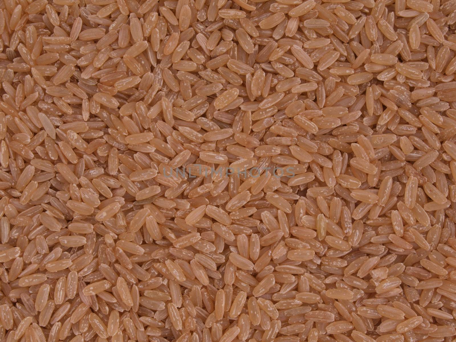Brown, long grain rice with no background.