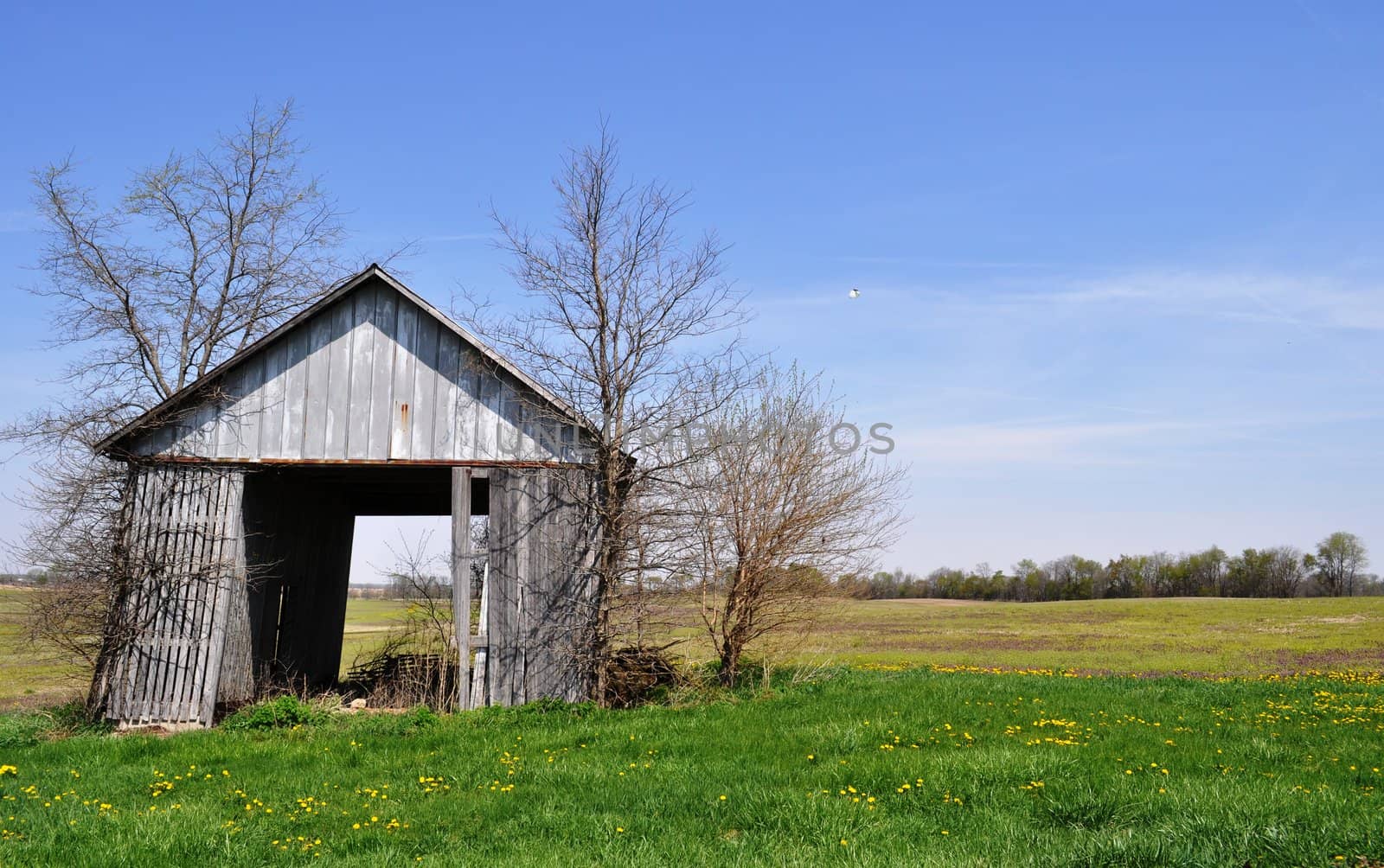 Barn tipping background by RefocusPhoto