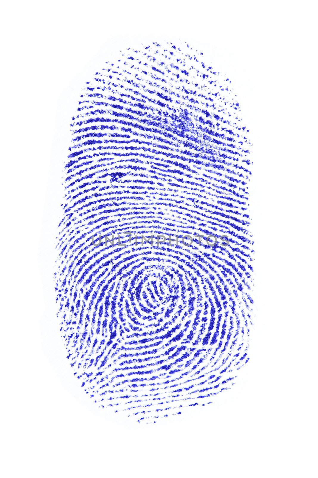a fingerprint on a white sheet of paper